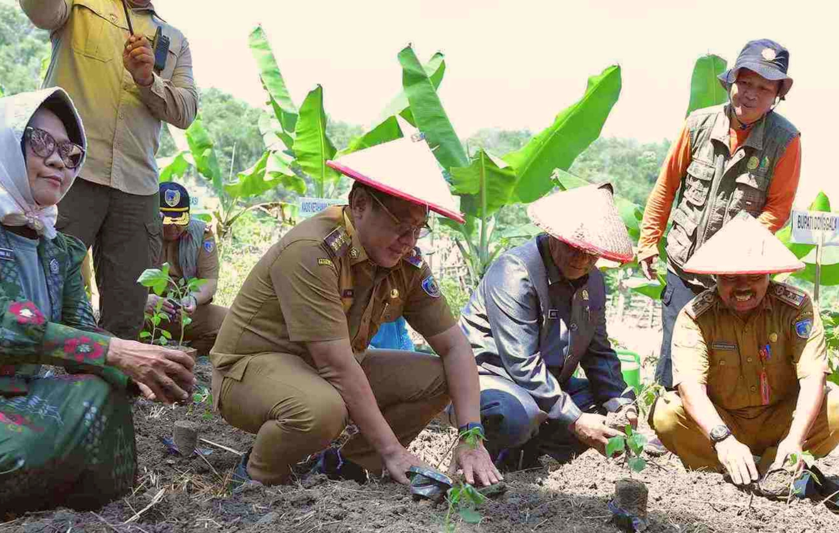 Gerakan Tanam Cabai jadi Solusi Kendalikan Inflasi dan Jaga Harga Pangan