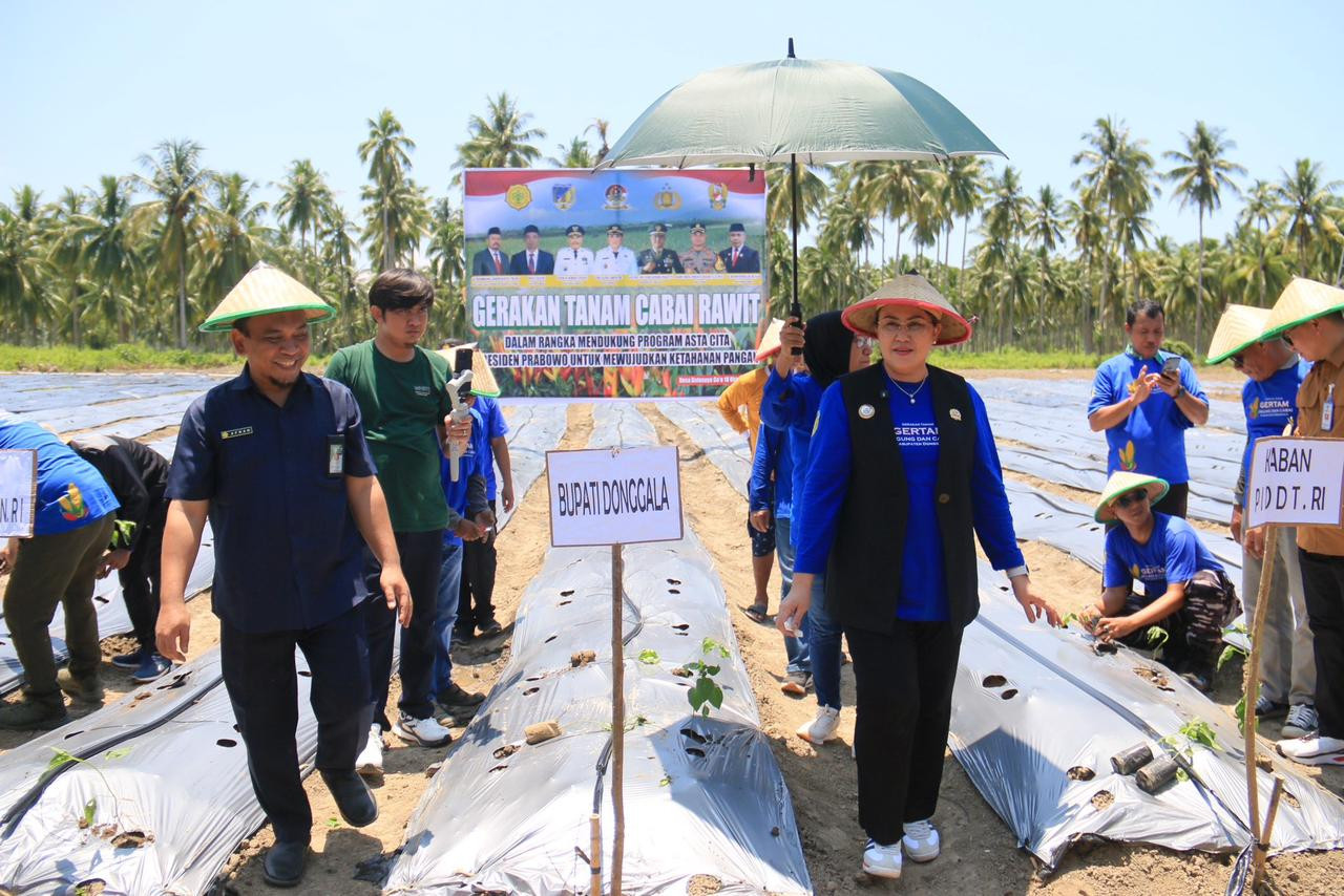 (18/10/2025) Pemkab Donggala-Bank Mandiri Kolaborasi Dukung Ketahanan Pangan Lewat Gertam Jagung dan Cabai