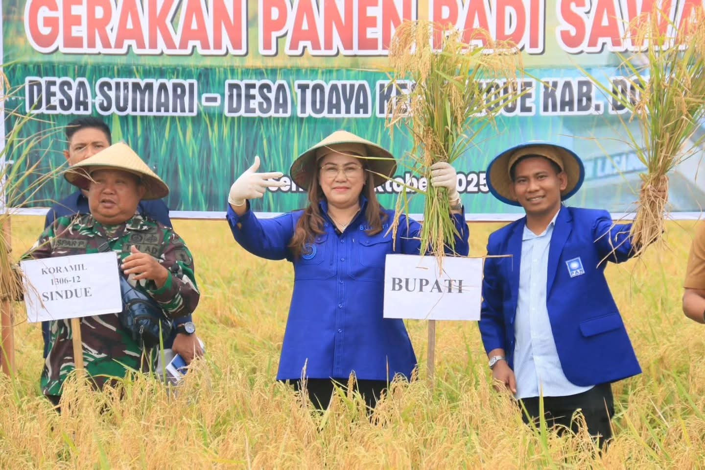 (27/10/2025) Pemkab Donggala Dorong Ketahanan Pangan Lewat Gerakan Panen Padi Sawah di Desa Sumari