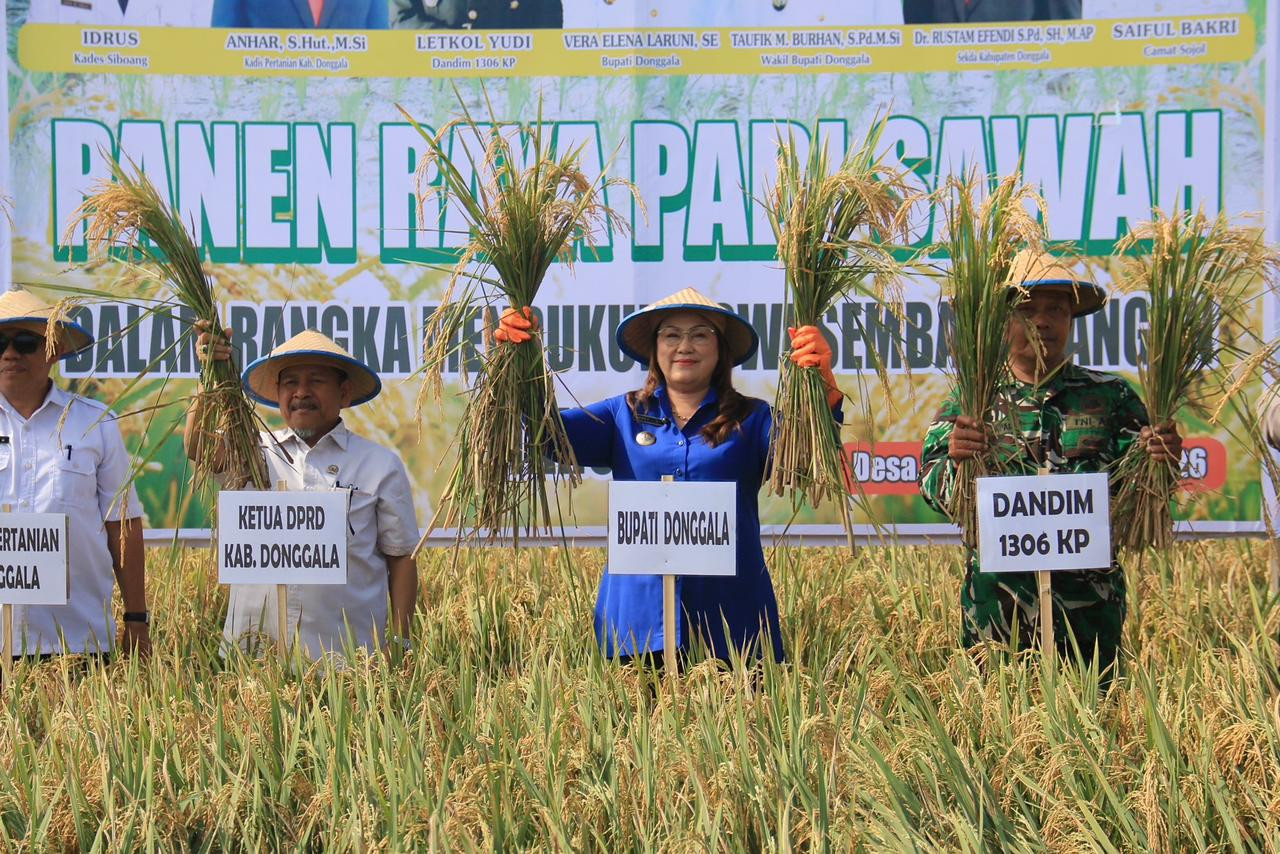 (15/04/2026) Panen Raya di Sojol, Pemkab Donggala Perkuat Ketahanan Pangan